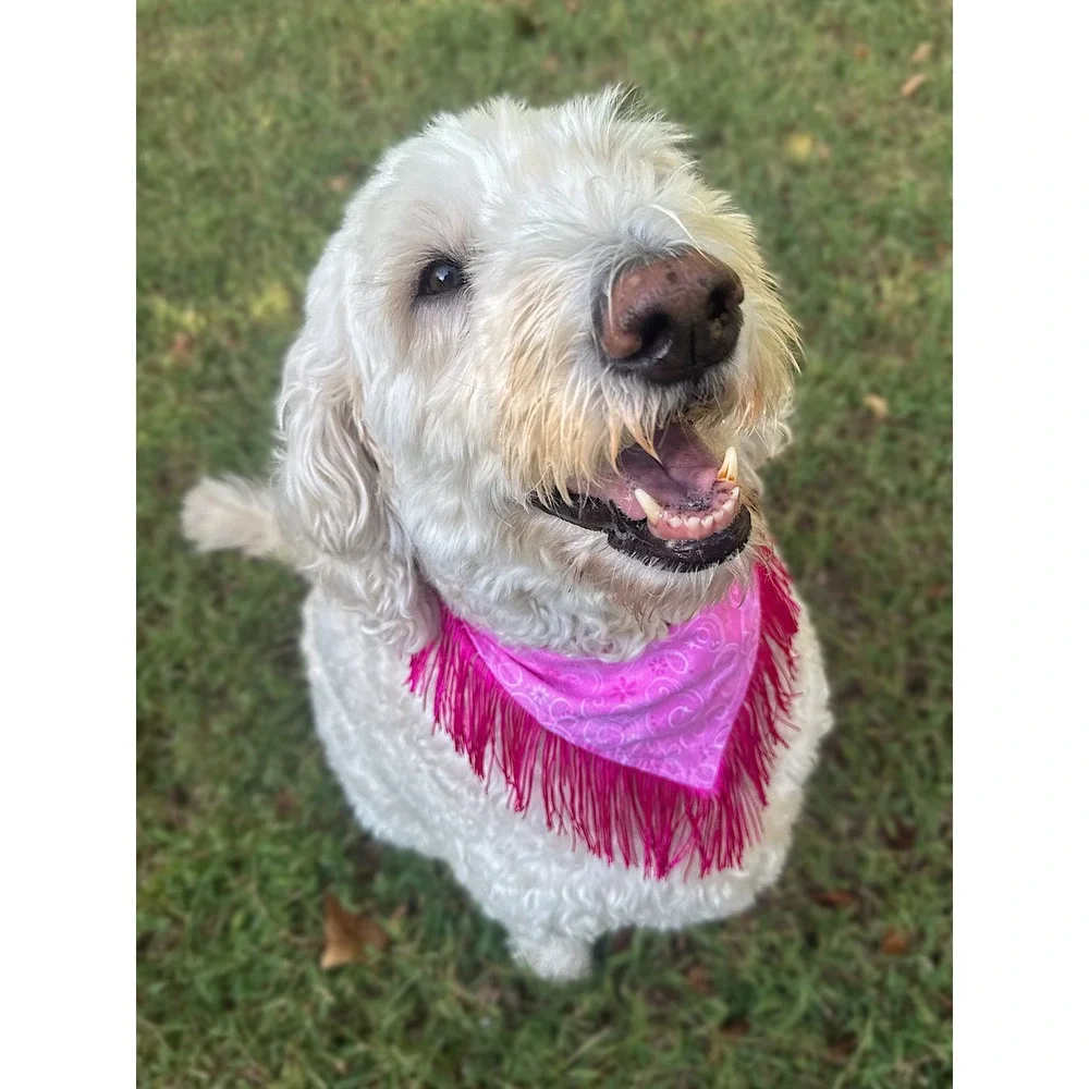 Disco Cowgirl Pink Glitter Fringe Dog Bandana Handmade Western Pet Accessory